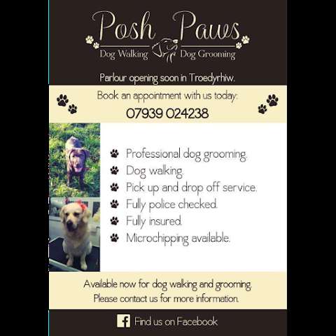 Posh Paws dog grooming photo